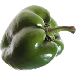 green pepper_01.jpg